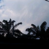 suara asli - wulandari