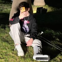 الصوت الأصلي