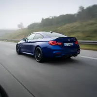 original sound - goeckii