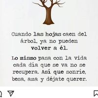 zulemasanchez858