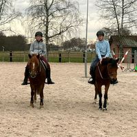 un_duo_de_cavaliere