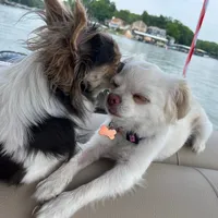 original sound - elthompson2022