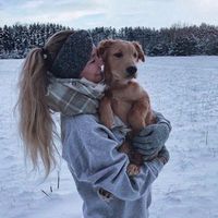 tropi..abbi_