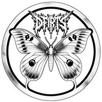 оригинальный звук - Dfirts