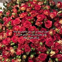 samia_seem