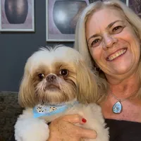 original sound - petsdabico