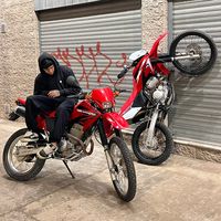nico_painemil