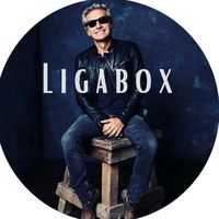 ligabox