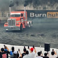 chillidogg.brookhouser