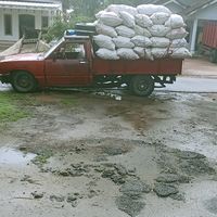 suara asli - ipong