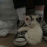 оригинальный звук