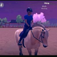 hobby_horsing267