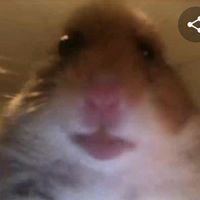ten_s_kiblem_na_hlave