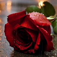 nattmaryibacolumva24