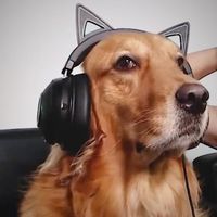 original sound
