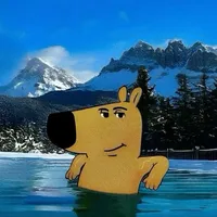 original sound - ssayntresss