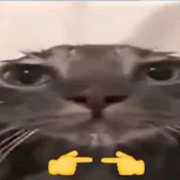 vitun