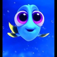dory2057