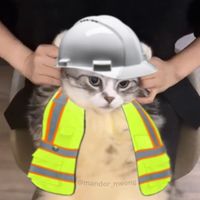 original sound - Meme Kucing Tambang