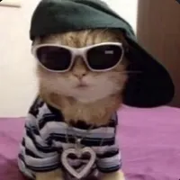 original sound - boobz4soobz