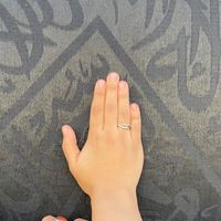 habibasalahbasha