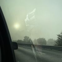 iliveinmyfuckingmind