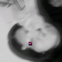 sonido original