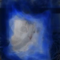 realcheetopufflover