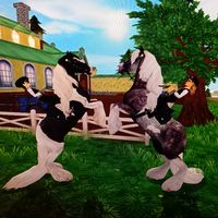 anoukspringwood
