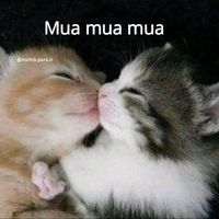 cuentaparaminoviecita7