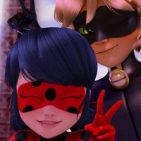 miraculous.lady.cat6