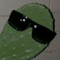 9_cactus4