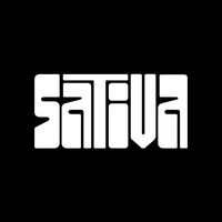 sativajeans
