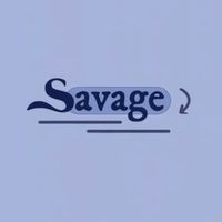 savage150126