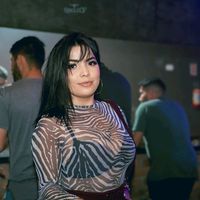 tainamerlin4