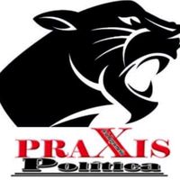praxispolitica
