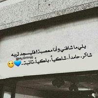 noga_eleven_11