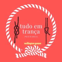 wellingtondasilva834