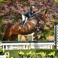 equestrian.brianna