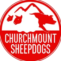 original sound - paddyfanning