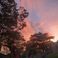 suara asli - AzkaA-Kaltim