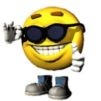 recypapai