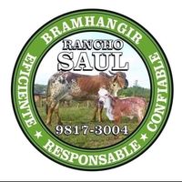 rancho_saul01