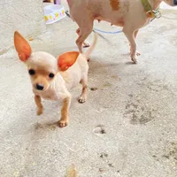 original sound - h.valdez8