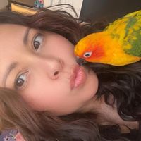 juliescakesandcookies
