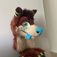 medikaldragon