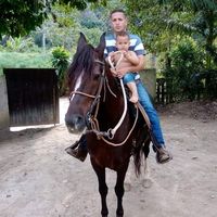 russinho.gui