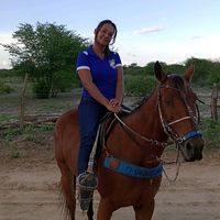 cleidinhaalves35