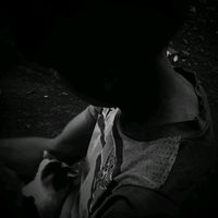 wt_xerno