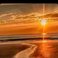 kavak_yelleri7776